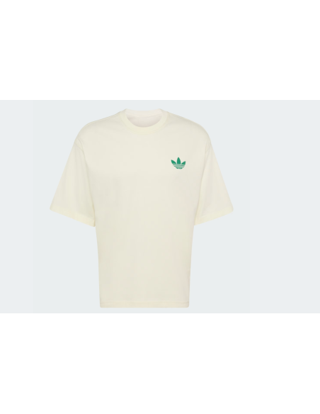 Adidas MOUNTAIN GFX Off White TShirt LE1888 MBS