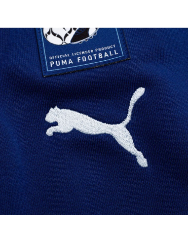 Puma sweatshirt sweatshirt Puma Manchester City Hoodie