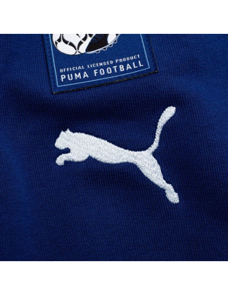 Puma sweatshirt sweatshirt Puma Manchester City Hoodie