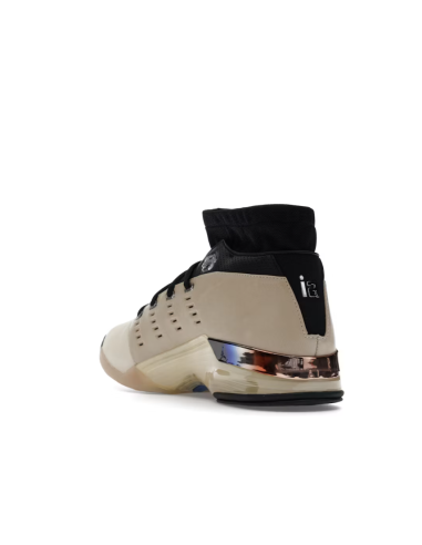 Jordan 17 Retro Low SP Infinite Archives IH0177200 MBS